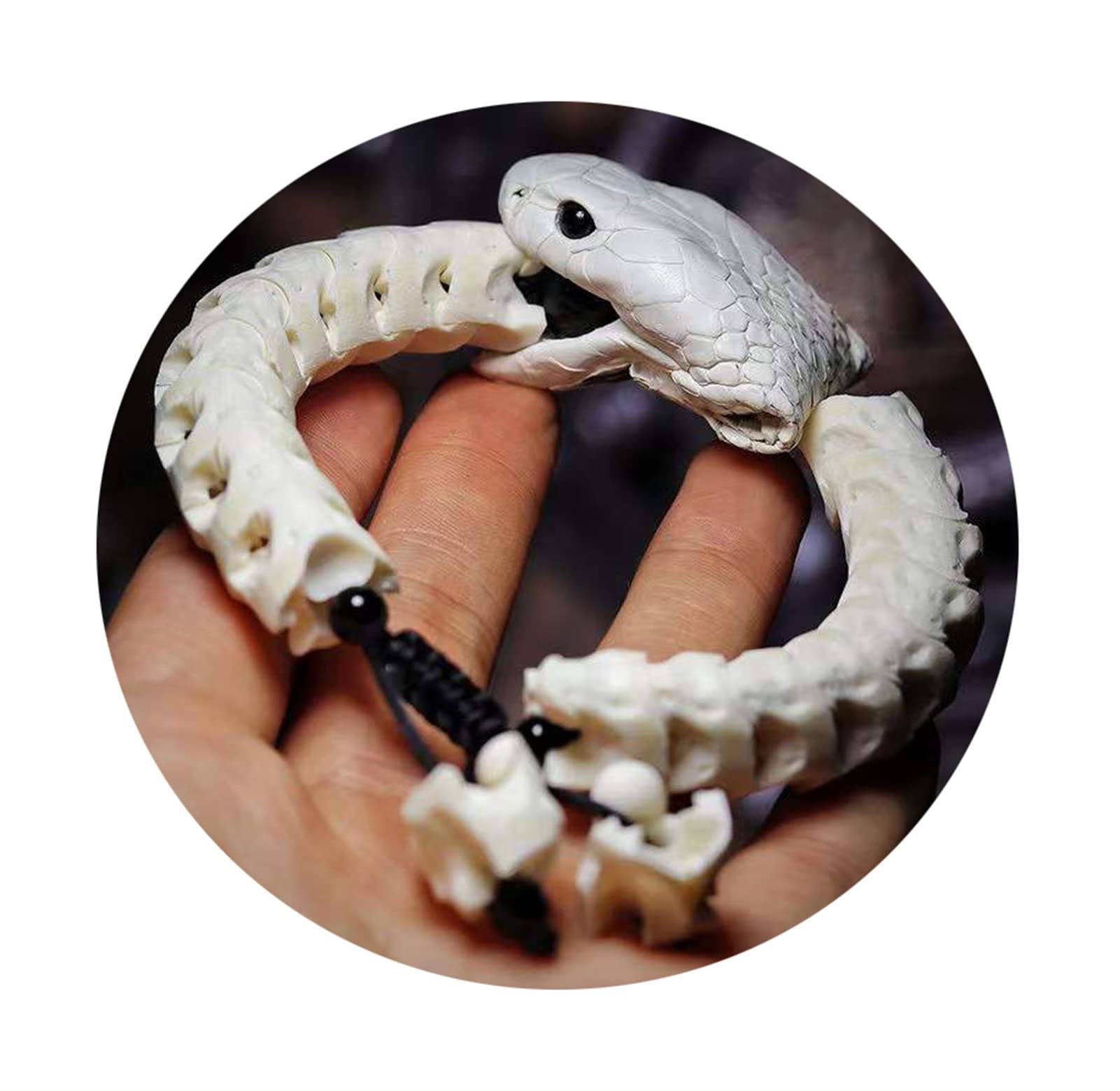 Men's Snake Bone Bracelet, Real Spine Bone, 0.55